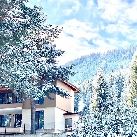 Guest house Вила Сияна *
